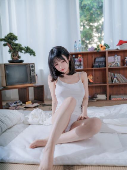 鸡鸭恋