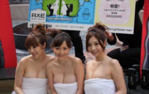 两万种蜜蜂