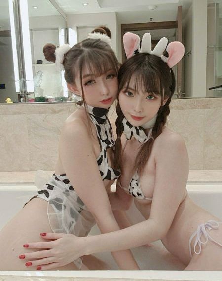 藏龙短剧