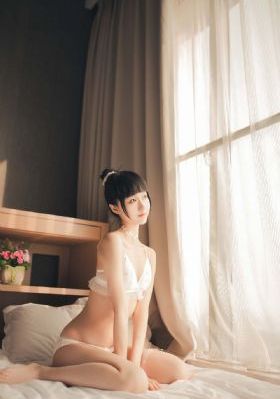 跟着吉博德议员实习