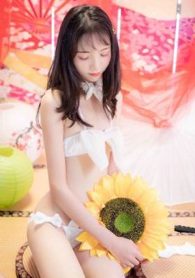锦书谋权录